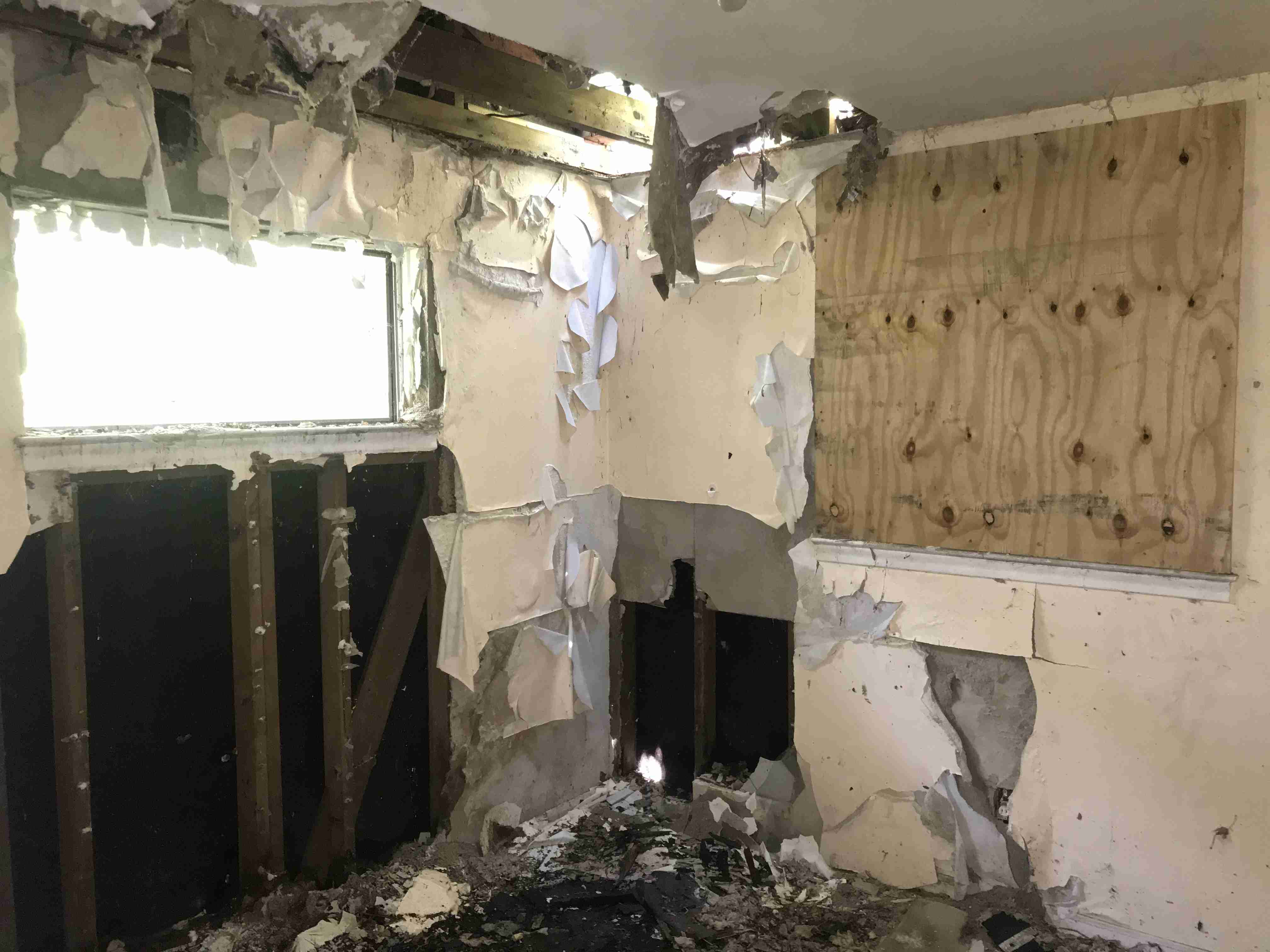 Photo Aug 21, 1 29 42 PM.jpg